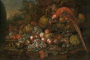 Francis Sartorius Still life with fruits and a parrot Germany oil painting artist